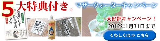 ���肪�Ƃ�2010�A�悤����2011�L�����y�[��